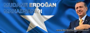 Mahdin