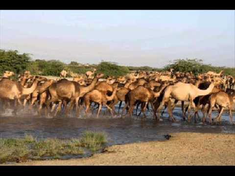 12939330_10206296809275667_1748679312_n