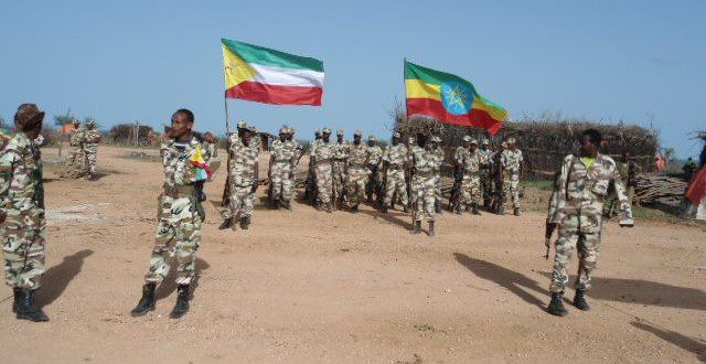 IMG_295898-E93C3C-DF6051-8A92D7-A434E2-F91D17-640x330