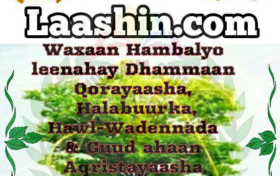 2016-08-09-PHOTO-00000008